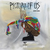 Picture of Us (Hoved Remix) artwork