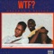 Wtf? (feat. Blingz) - Deltran lyrics