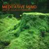 Stream & download Meditative Mind: Ambient Sounds For Meditation