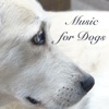 Music for Dogs - Sleeping Songs for Pet Therapy and Soothing Sounds to Send Your Dog to Sleep