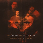 Ni Vivo Ni Muerto artwork