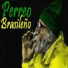 Mega Perreo Brasileño - Perreo Brasileño