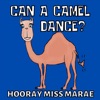 Can a Camel Dance? - Single, 2020