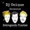 Estragando Plantas (feat. Haikaiss) - DJ Caique lyrics