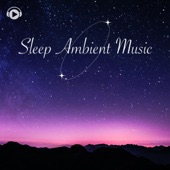 Sleep Ambient Music - Alpha Waves BGM for Sleep artwork