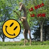 Le Rock La Joie - EP