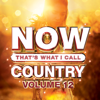 Various Artists - NOW That's What I Call Country, Vol. 12  artwork