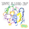 What Is Going on? - EP