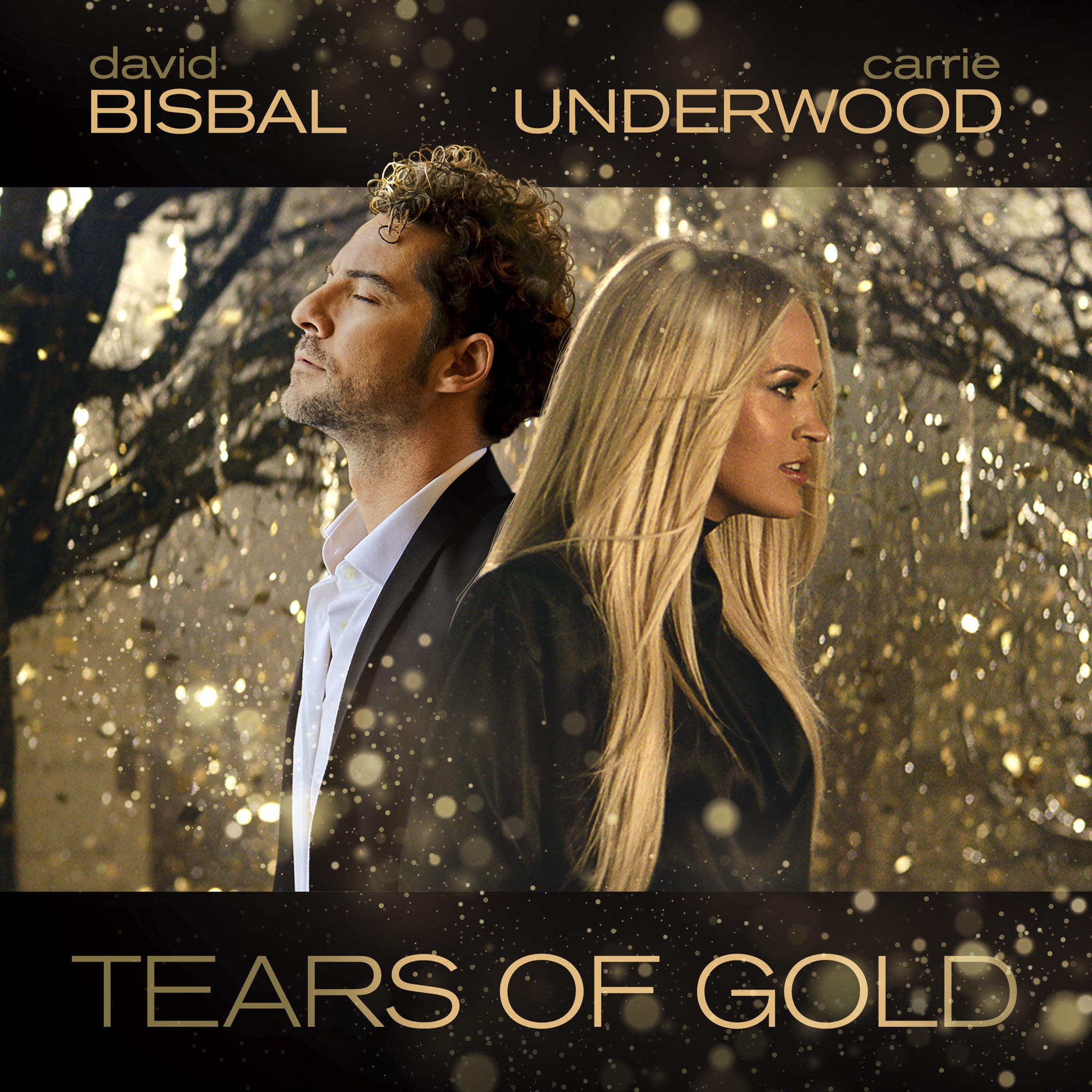 David Bisbal & Carrie Underwood - Tears Of Gold - Single