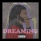 Dreaming - DamnFoolBurnt lyrics