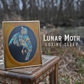 Lunar Moth - Losing Sleep