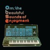 Om: The Beautiful Sounds of Enjoyment