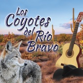 Los Coyotes Del Rio Bravo - Con Cartitas