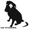 LOS FRACASADOS - Sigo Esperando