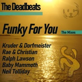 Funky For You (Baby Mammoth Mix) artwork