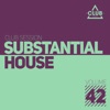 Substantial House, Vol. 42