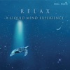 Relax - A Liquid Mind Experience