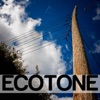 Ecotone, 2020