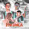 Stream & download Vingança - Single