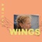 Wings - Amilli lyrics