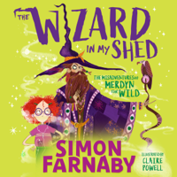 Simon Farnaby - The Wizard In My Shed artwork