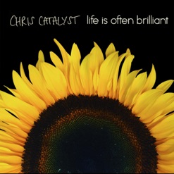 LIFE IS OFTEN BRILLIANT cover art