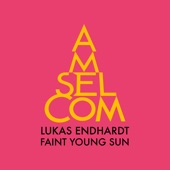 Lukas Endhardt - Faint Young Sun