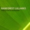Relaxation Naturescapes - Rainforest Music Lullabies Ensemble lyrics