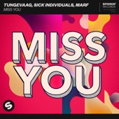 Miss You (Extended Mix) artwork