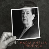 Maria Amélia Proença artwork