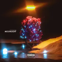 Moonlight Song Lyrics