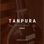 Tanpura (C# Scale)