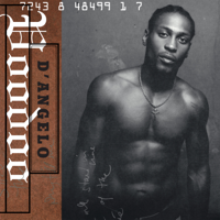 D'Angelo - Voodoo artwork