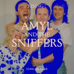 Born To Be Alive by Amyl and The Sniffers