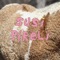 Mientras Escaneo - Susi Pireli lyrics