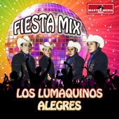 Fiesta Mix los Lumaquinos Alegres artwork