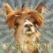 Cash Crop - The Cleverlys lyrics