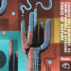 Cookin' On 3 Burners - Force of Nature
