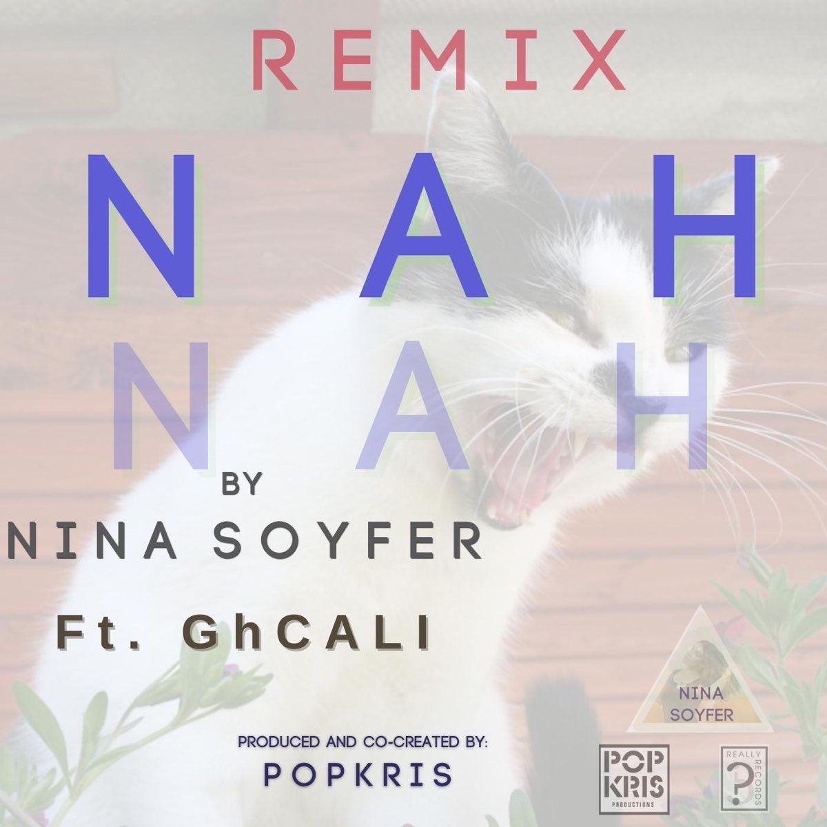 Nina remix