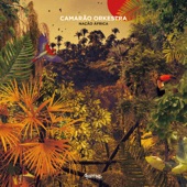 Canto Da Bahia (feat. Anthony Joseph) artwork