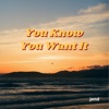 You Know You Want It - Single