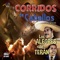 Caballo Prieto Azabache - Corridos De Caballos lyrics