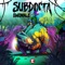 Awakening - SubDocta lyrics