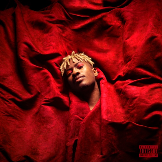 Cover artwork for Kiwi