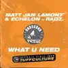 Stream & download What U Need - Single