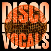 Disco Vocals: Soulful Dancefloor Cuts Featuring 23 Of The Best Grooves artwork