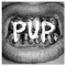Yukon - PUP lyrics
