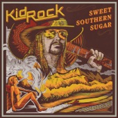 Kid Rock - Raining Whiskey