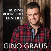 Ik Zing Voor Jou Een Lied artwork