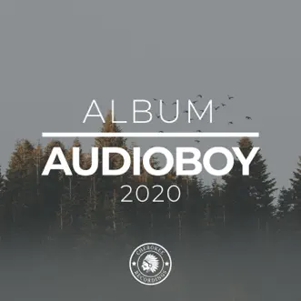 2020 Album by Audioboy album reviews, ratings, credits